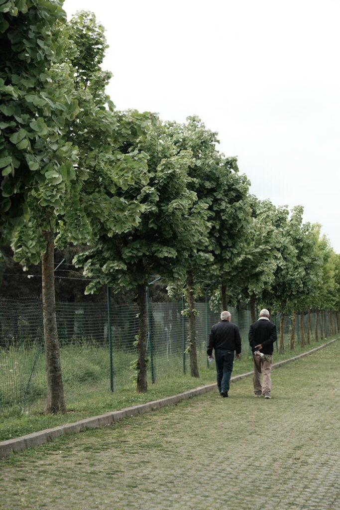 Two senior men walking along a rural tree-lined path, offering a serene, natural scene.